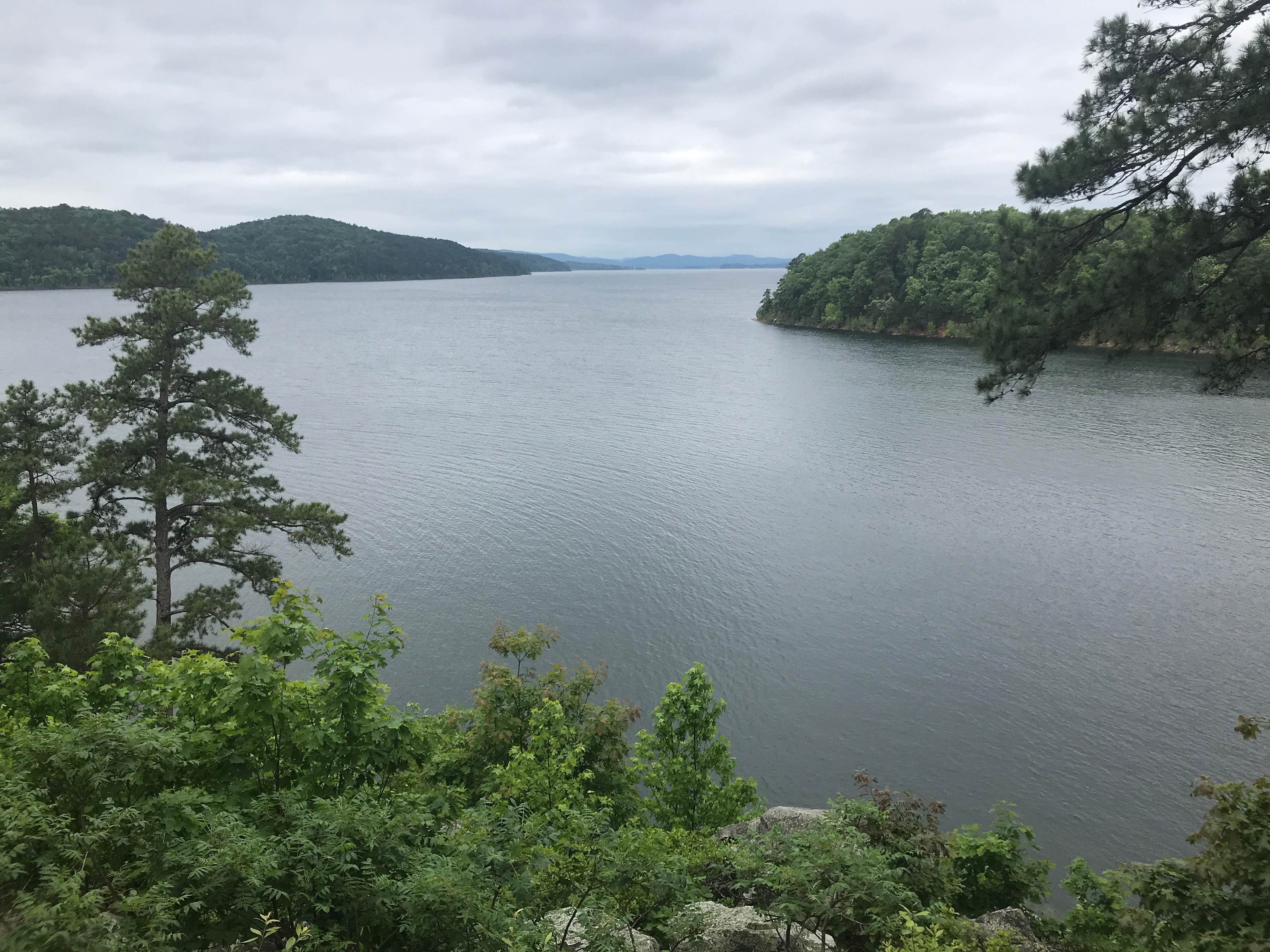 Best dispersed camping in Ouachita National Forest The Dyrt