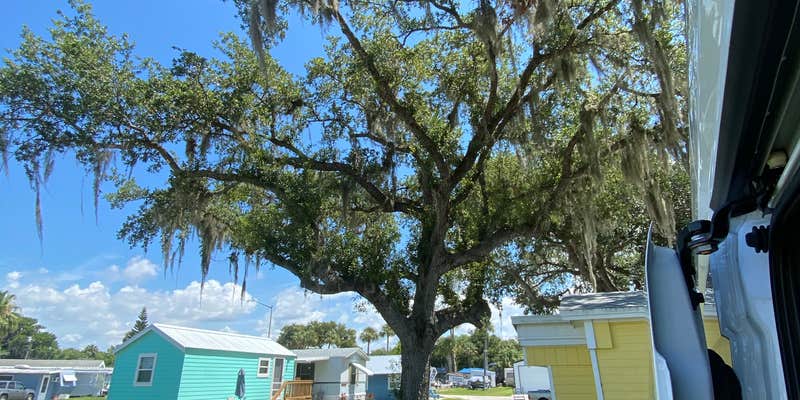 Camper submitted image from Barlows Fish and RV Camp