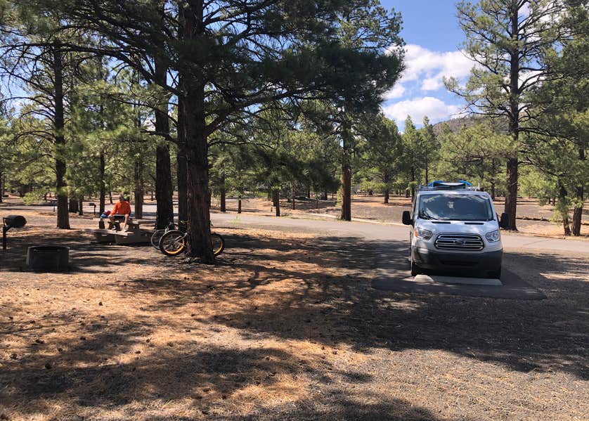 Bonito Campground (AZ) Sunset Crater National Monument Camping The Dyrt