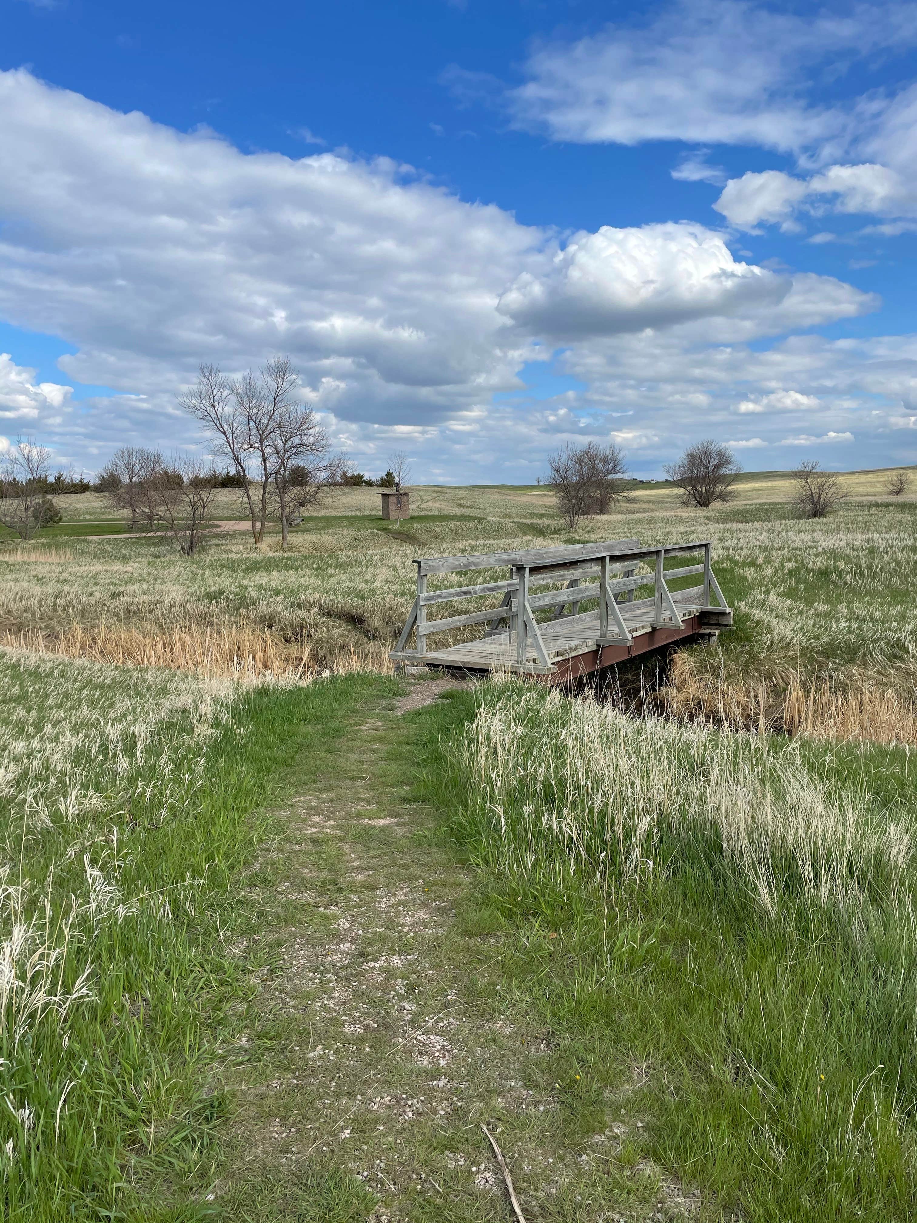 Camper submitted image from Bear Butte State Park Campground - 2