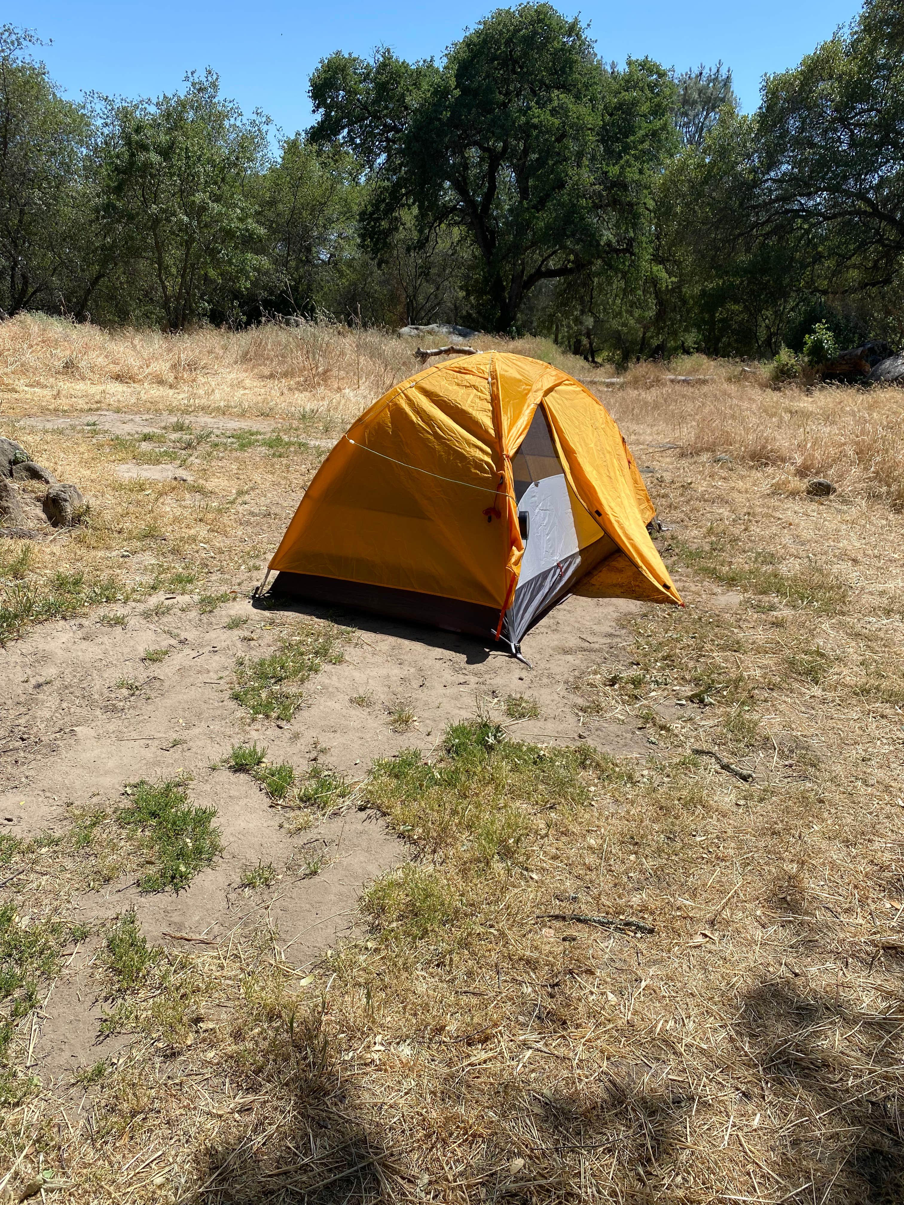 Jeanna J.'s photo at Beals Point Campground — Folsom Lake State Recreation Area near Sacramento, CA
