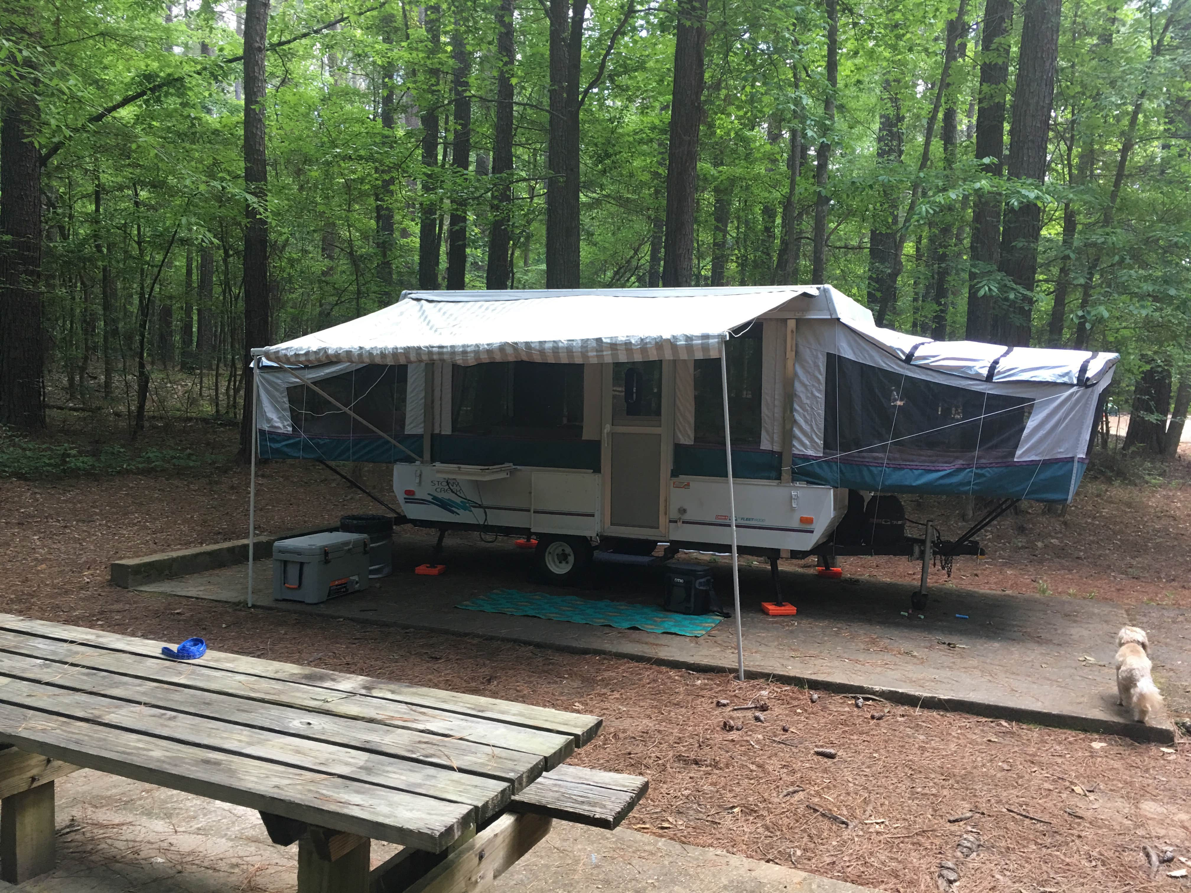 Camper submitted image from Wall Doxey State Park Campground - 4