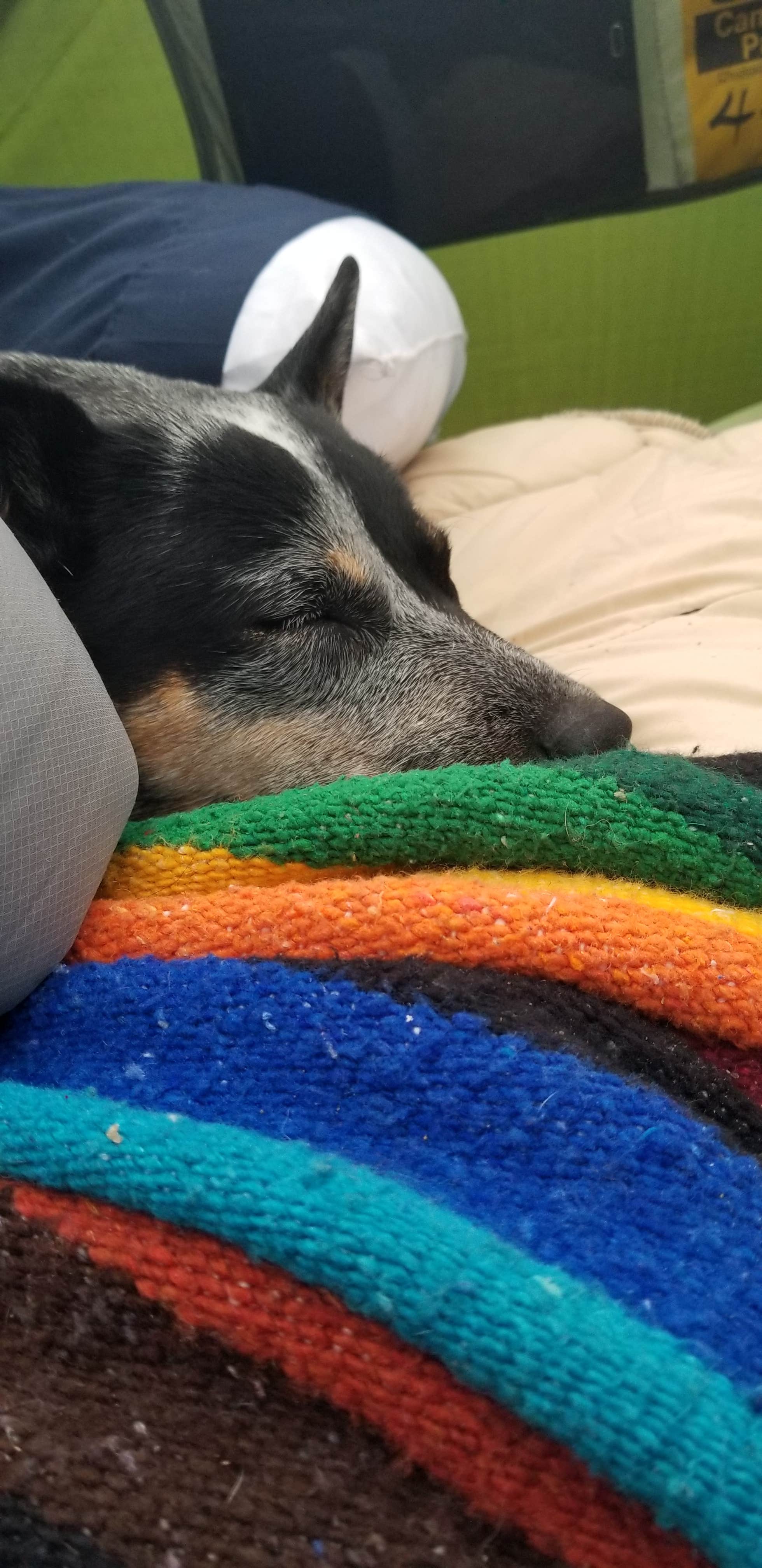 Camping near Holly Ridge Family Campground: Mayberry Campground, Mount Airy, North Carolina