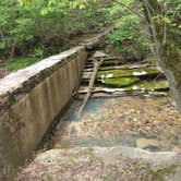 Review photo of Withrow Springs State Park Campground by Wendy B., May 12, 2021