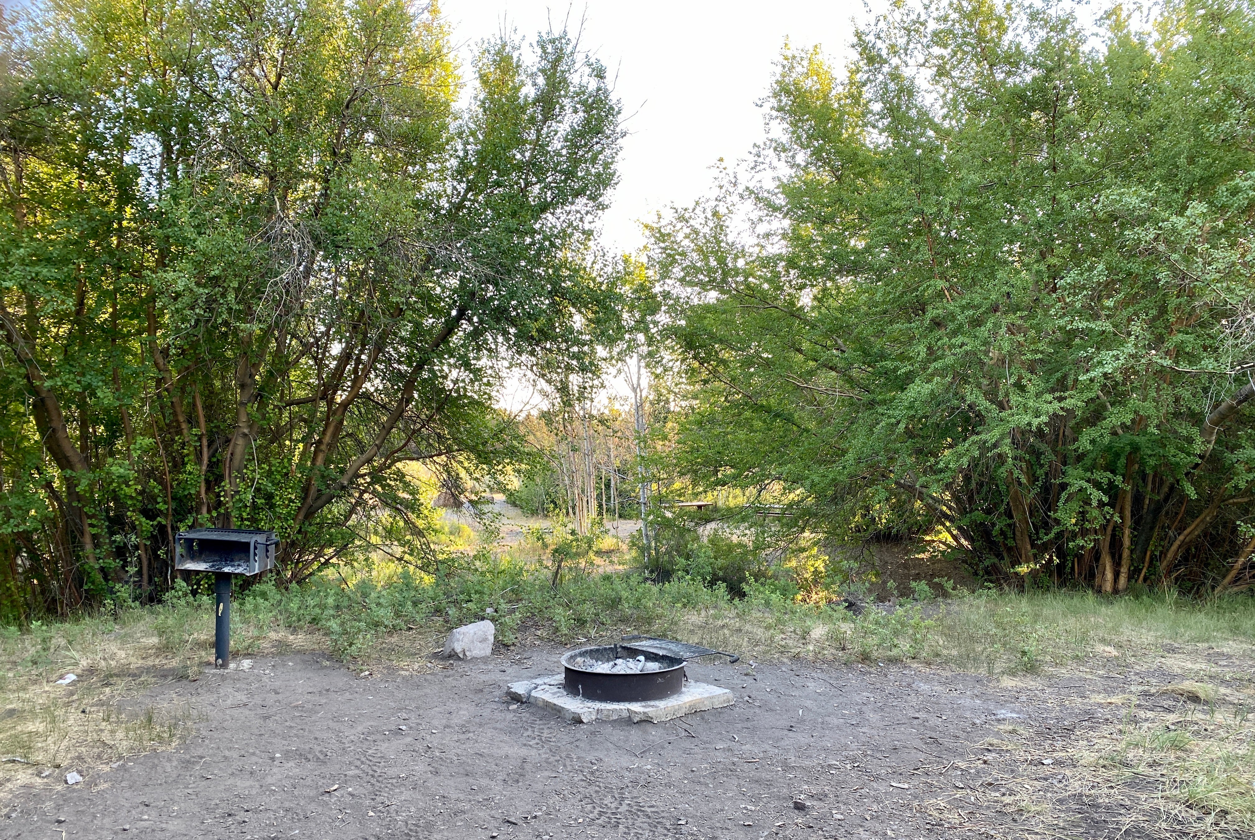 Camper submitted image from Pine Creek Campground - 5