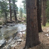 Review photo of Lower Twin Lake Campground by Keef W., July 15, 2016