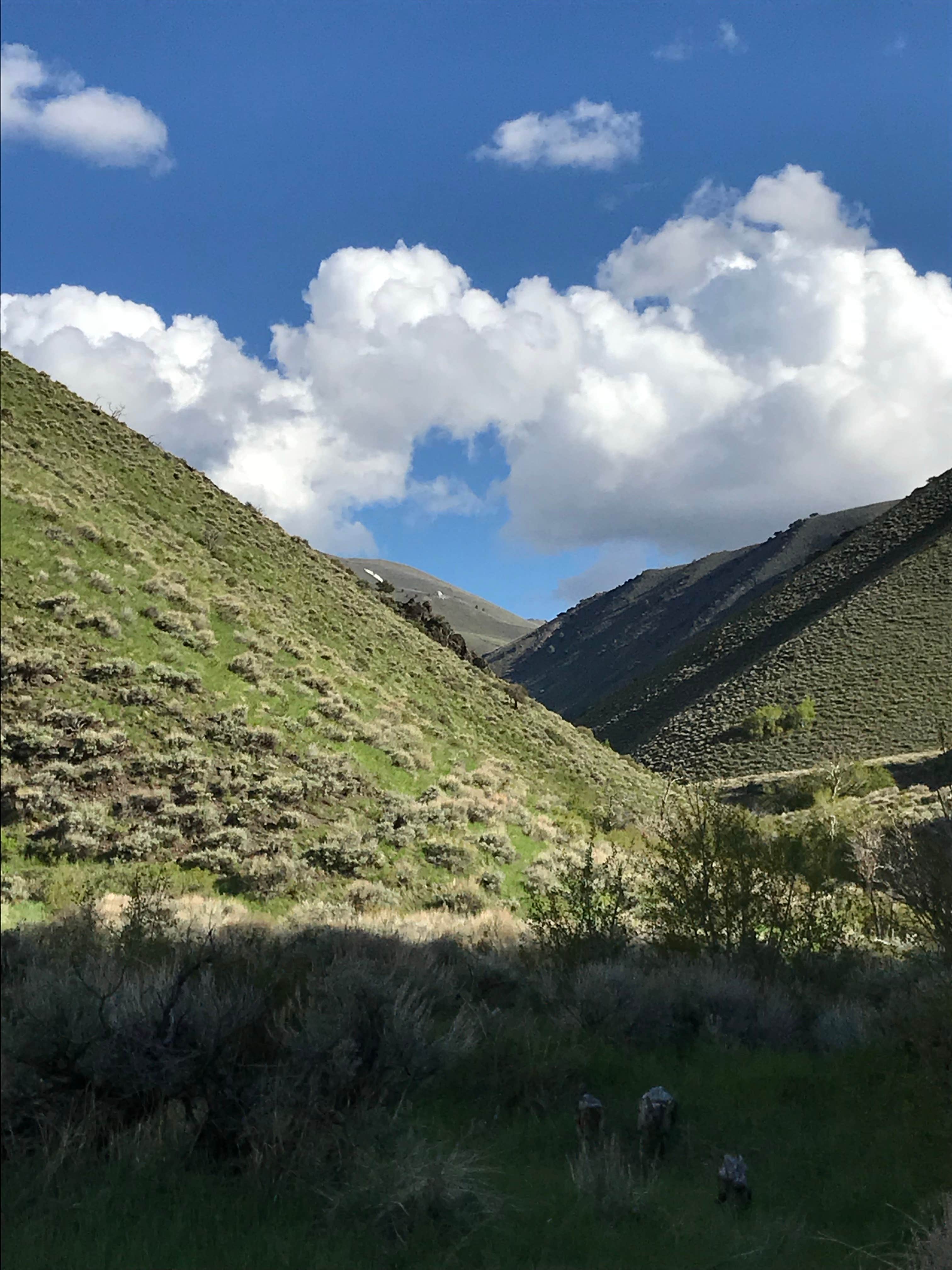Camper submitted image from Big Creek Campground - 2