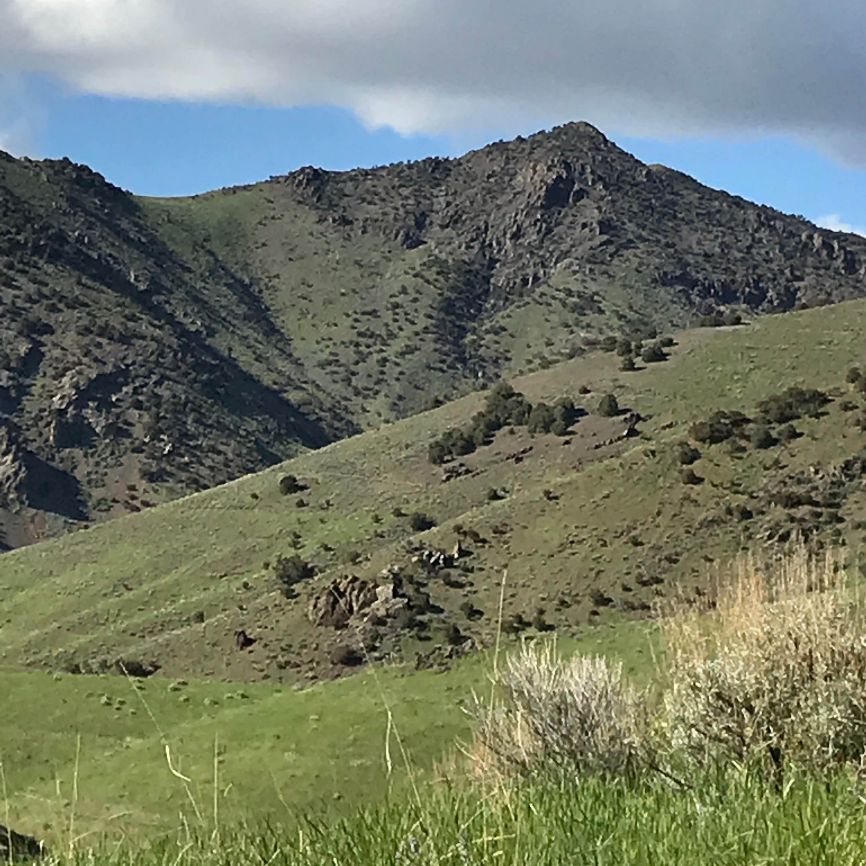 Big Creek Campground Camping The Dyrt