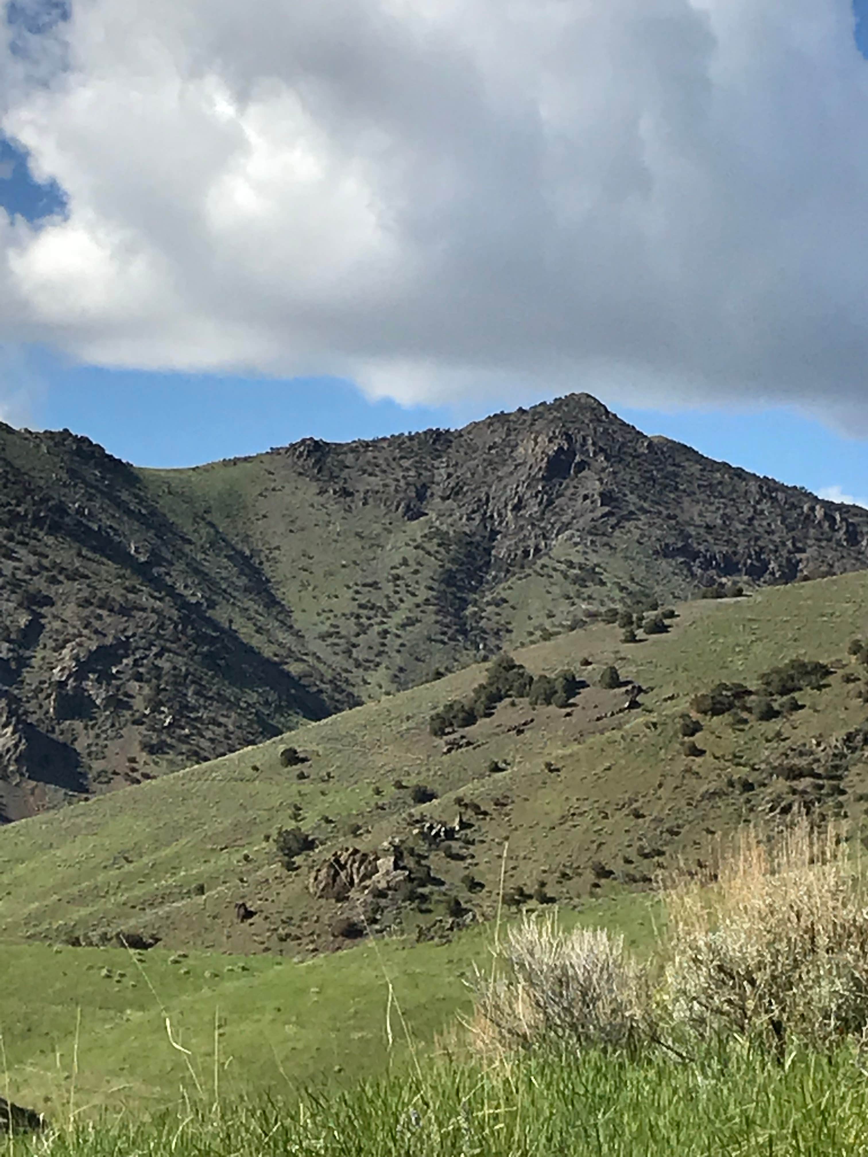 Nevada's Big Creek: Your Gateway to Untamed Beauty