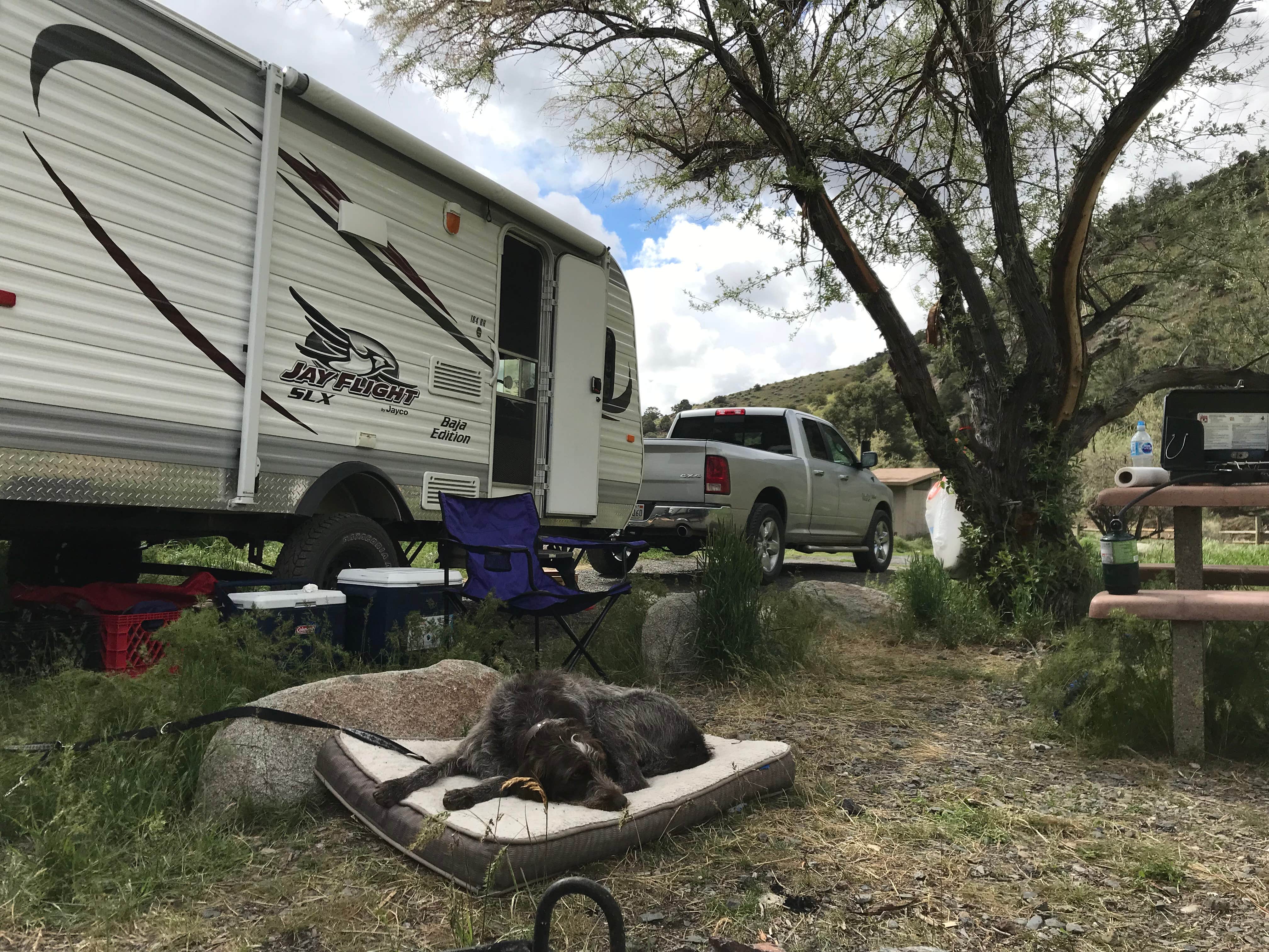 Camper submitted image from Big Creek Campground - 4