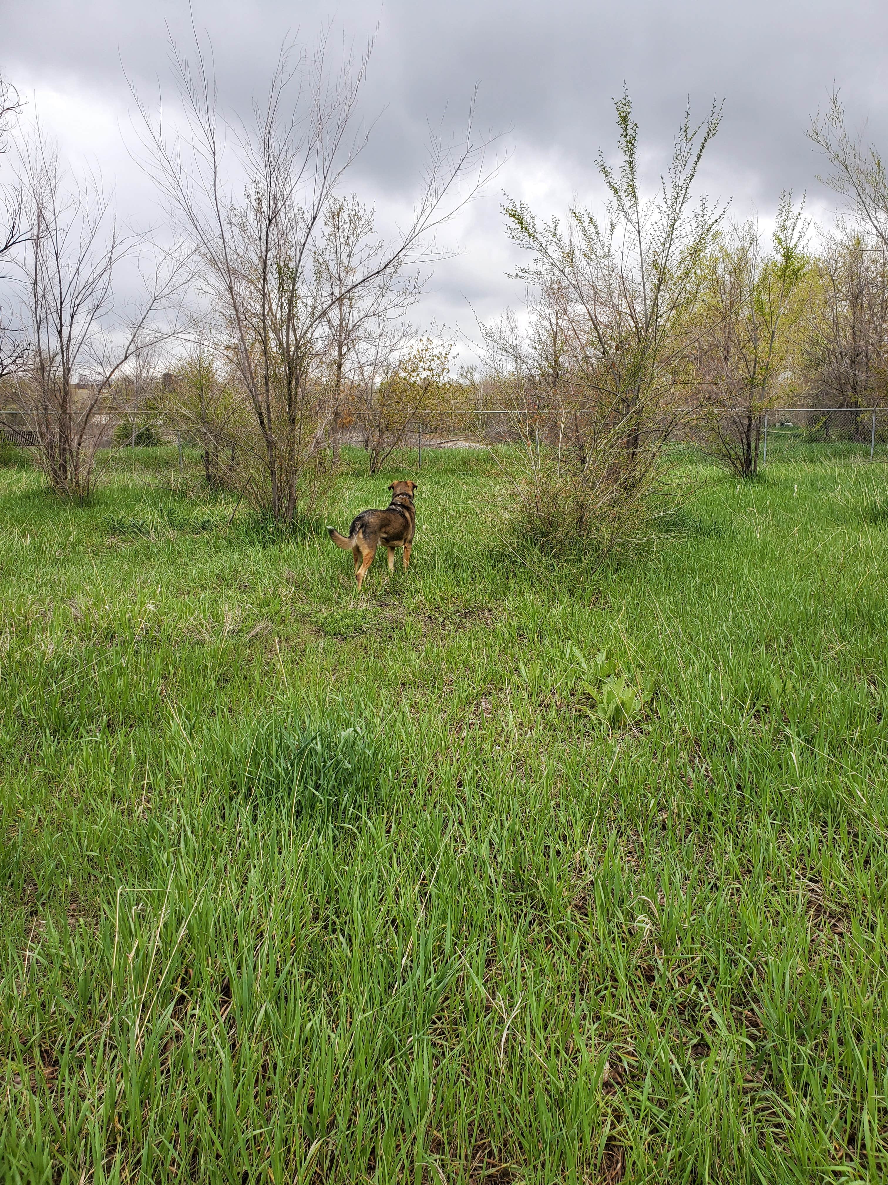 ProfG999's photo of camping with pets at Applewood RV Resort by Rjourney near Golden, CO