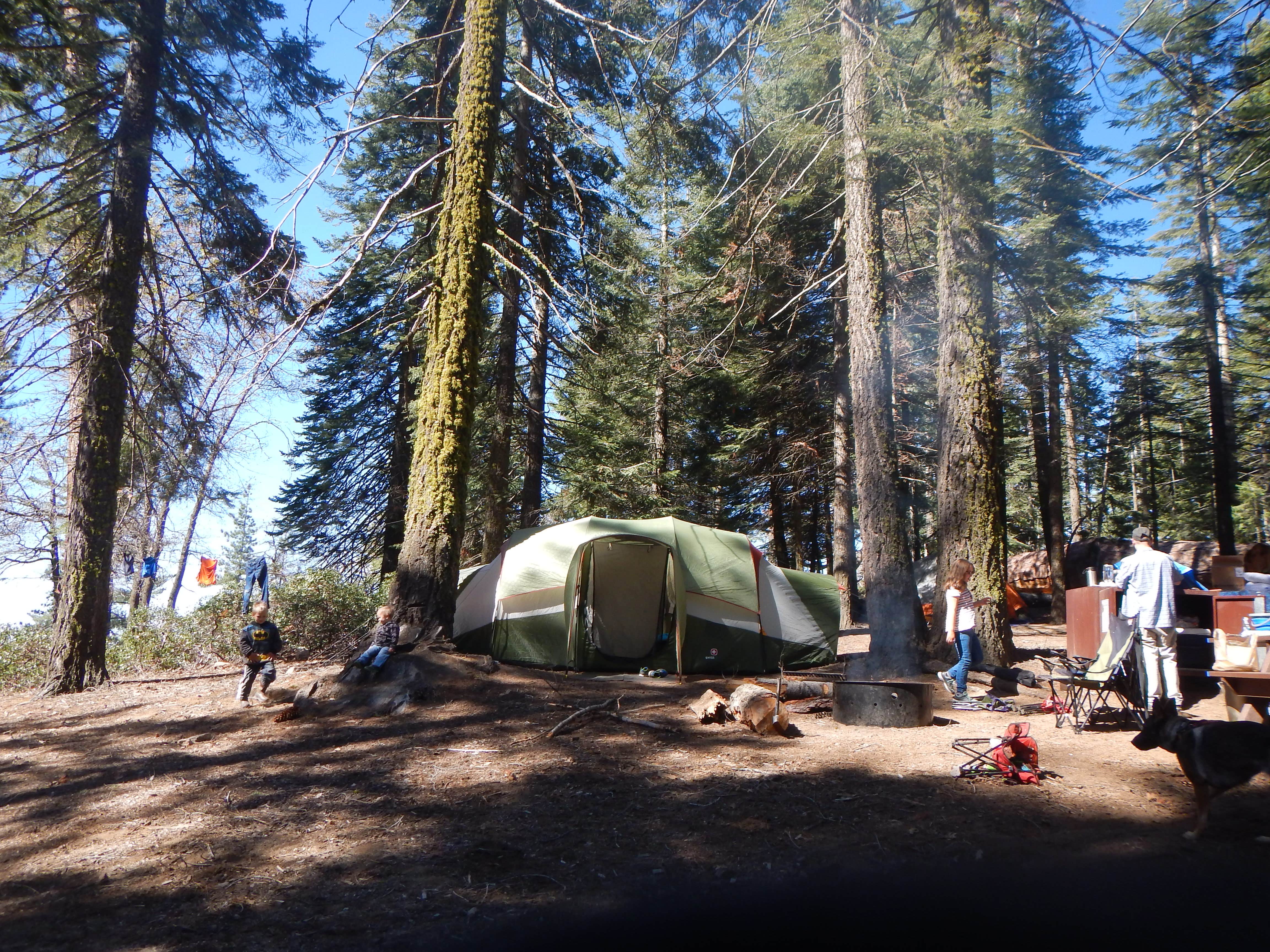 John W.'s photo at Sunset Campground — Kings Canyon National Park near Hume, CA