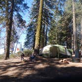 Review photo of Sunset Campground — Kings Canyon National Park by John W., June 3, 2018