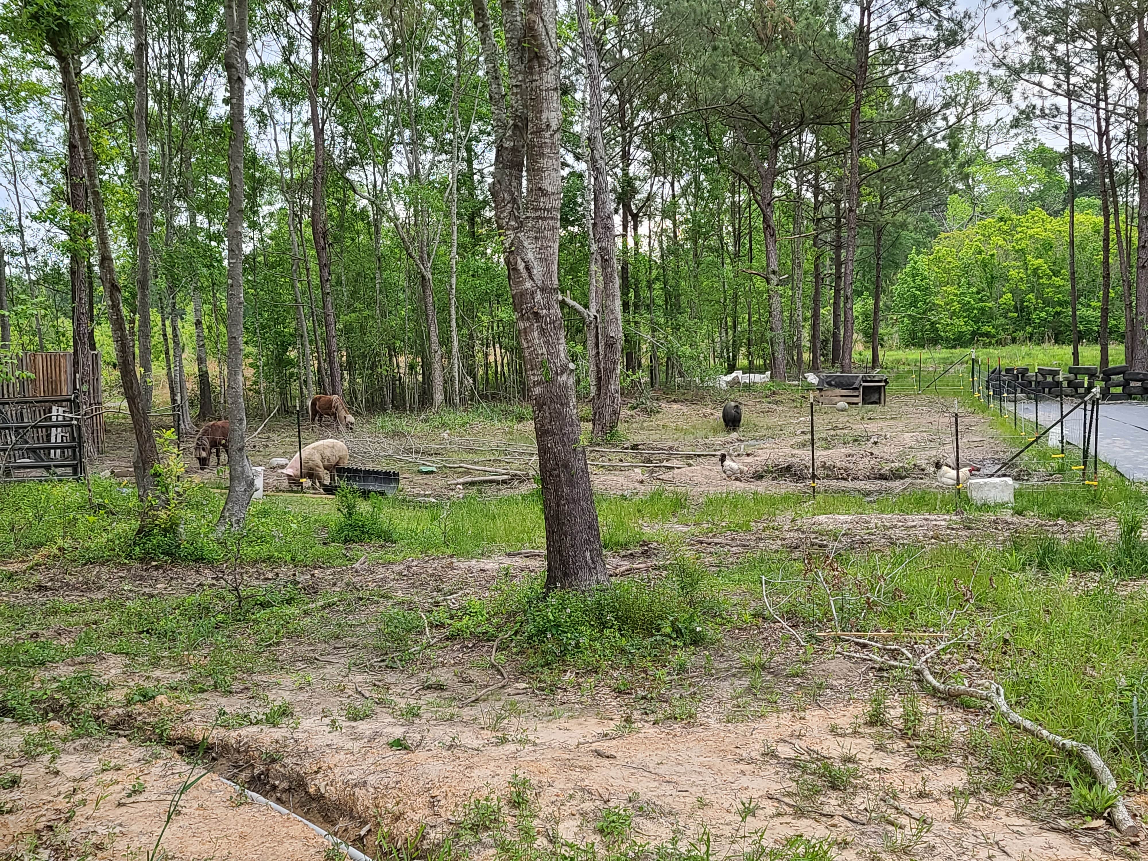 Camper-submitted photo at Po-Man Outdoor Collective R&R near Fort Polk, LA