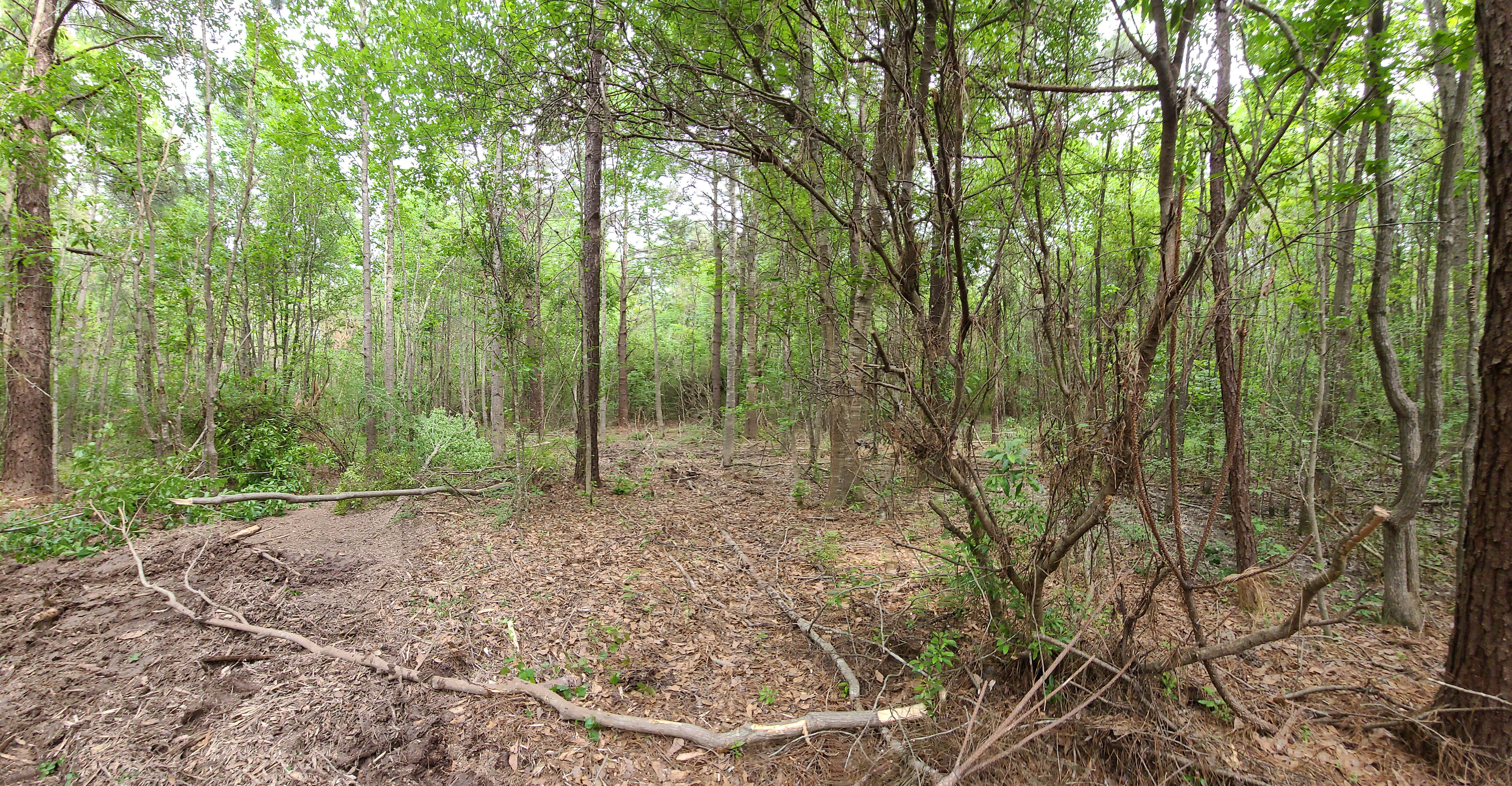 Camper-submitted photo at Po-Man Outdoor Collective R&R near Fort Polk, LA