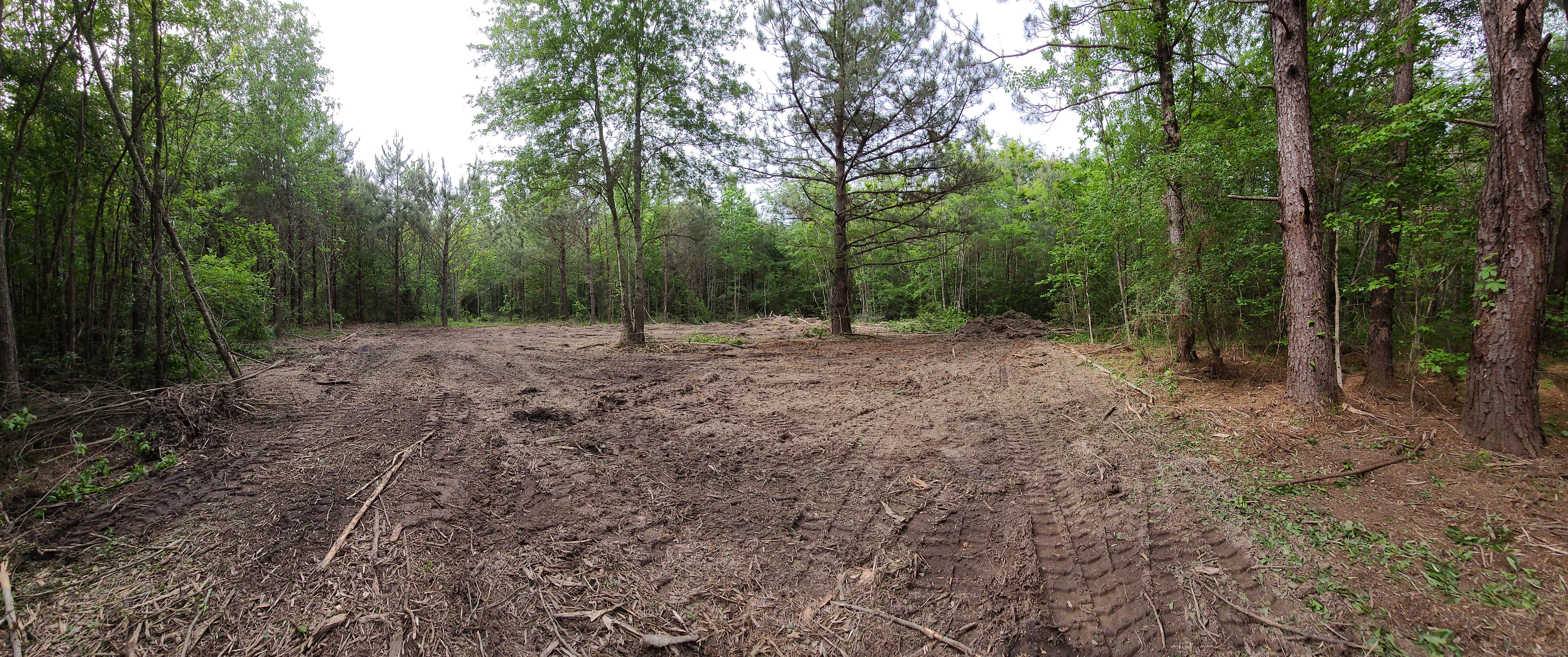 Camper-submitted photo at Po-Man Outdoor Collective R&R near Fort Polk, LA