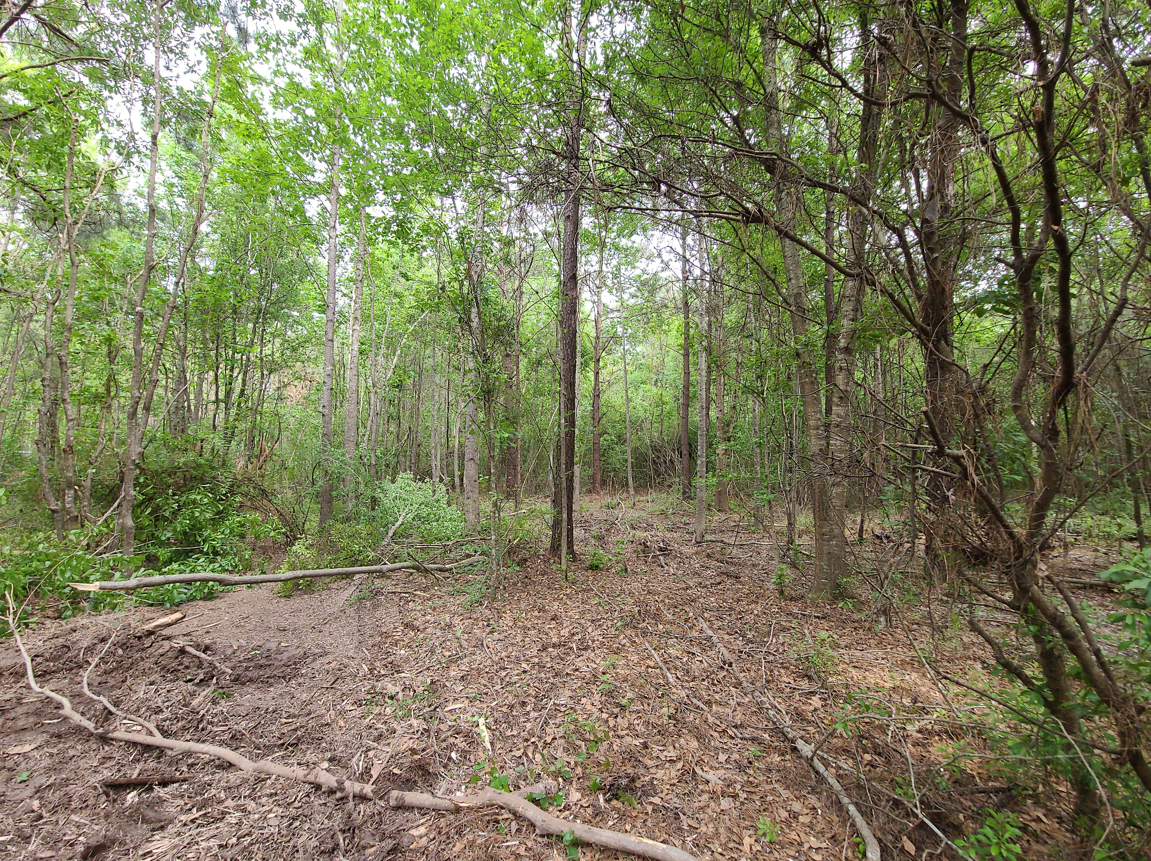 Camper-submitted photo at Po-Man Outdoor Collective R&R near Fort Polk, LA