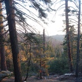 Review photo of Sunset Campground — Kings Canyon National Park by John W., June 3, 2018