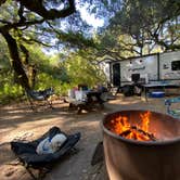 Review photo of Henry Cowell Redwoods State Park Campground by Chesney S., May 12, 2021