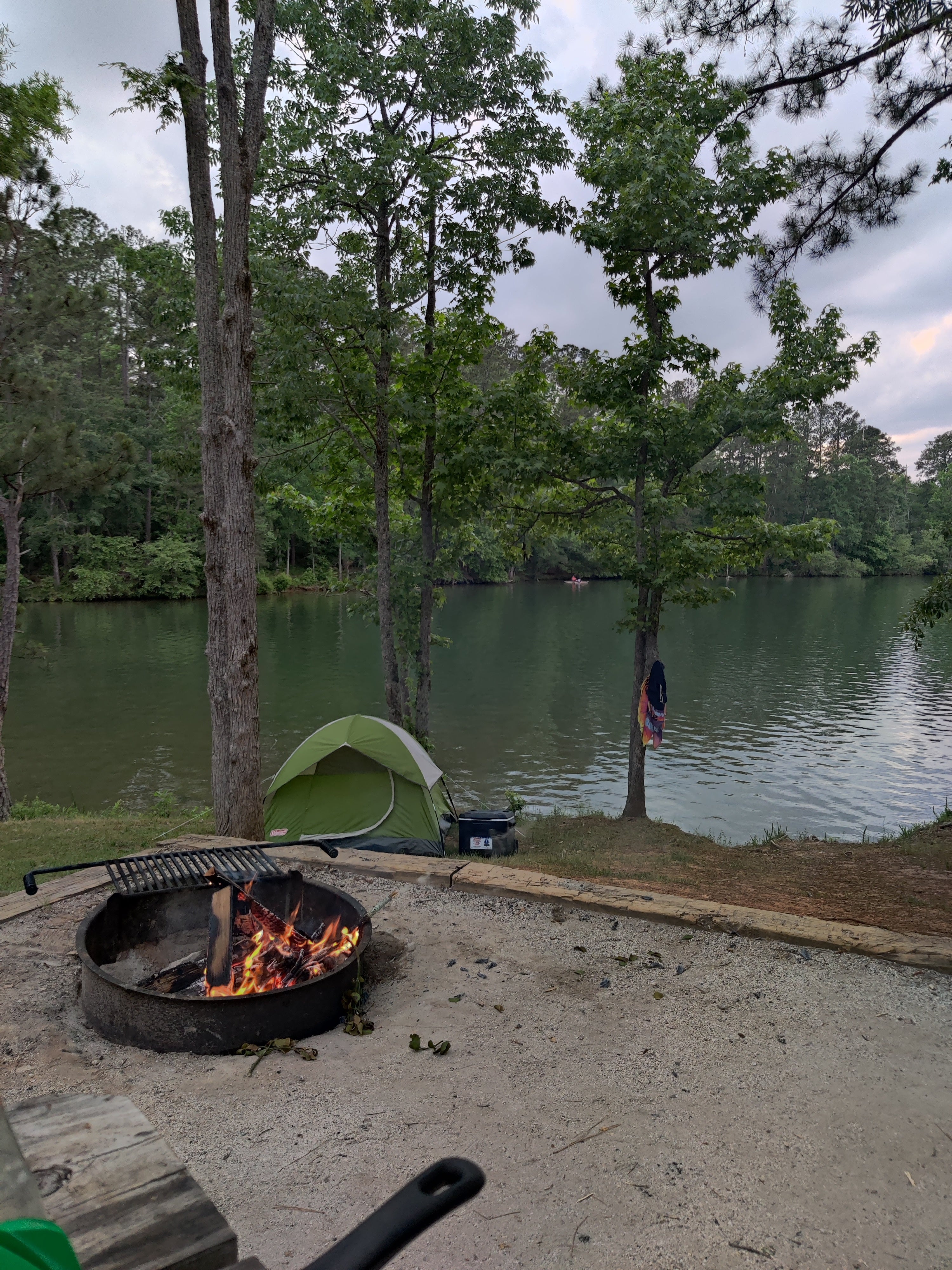 Camper submitted image from Lake Greenwood State Park Campground - 1