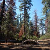 Review photo of Sunset Campground — Kings Canyon National Park by John W., June 3, 2018