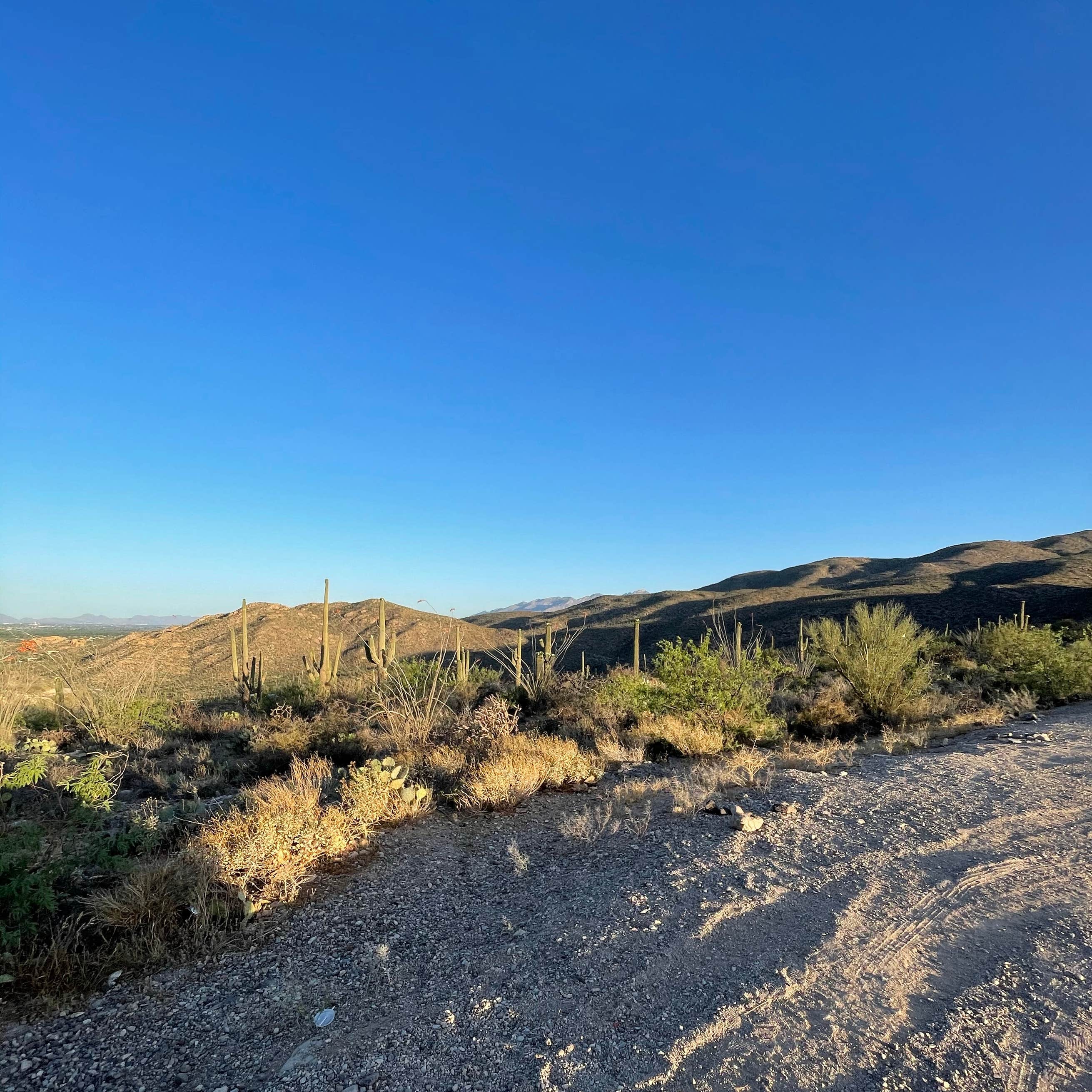Redington Pass - Dispersed Camping | The Dyrt