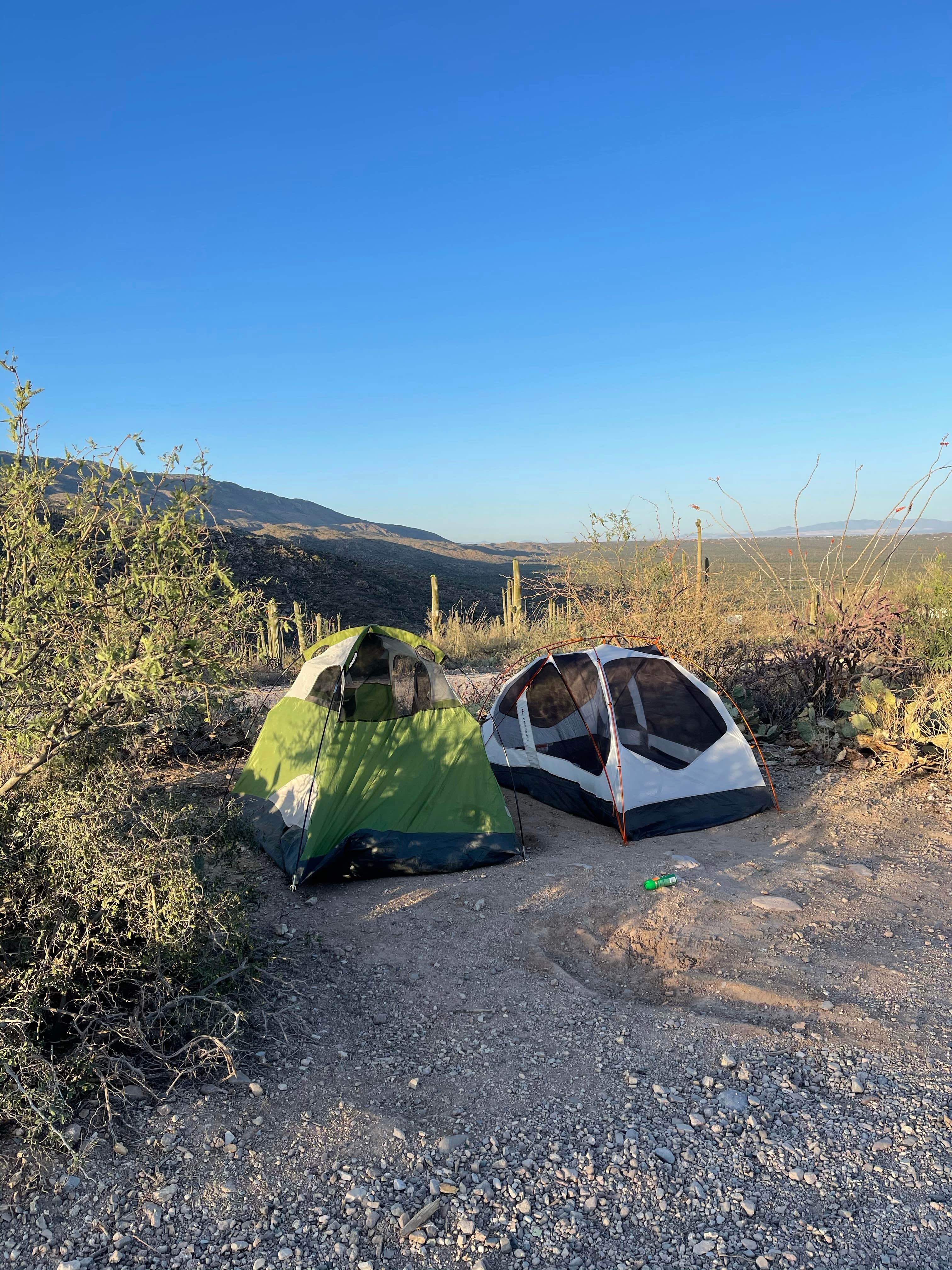 Camper submitted image from Redington Pass - Dispersed Camping - 5