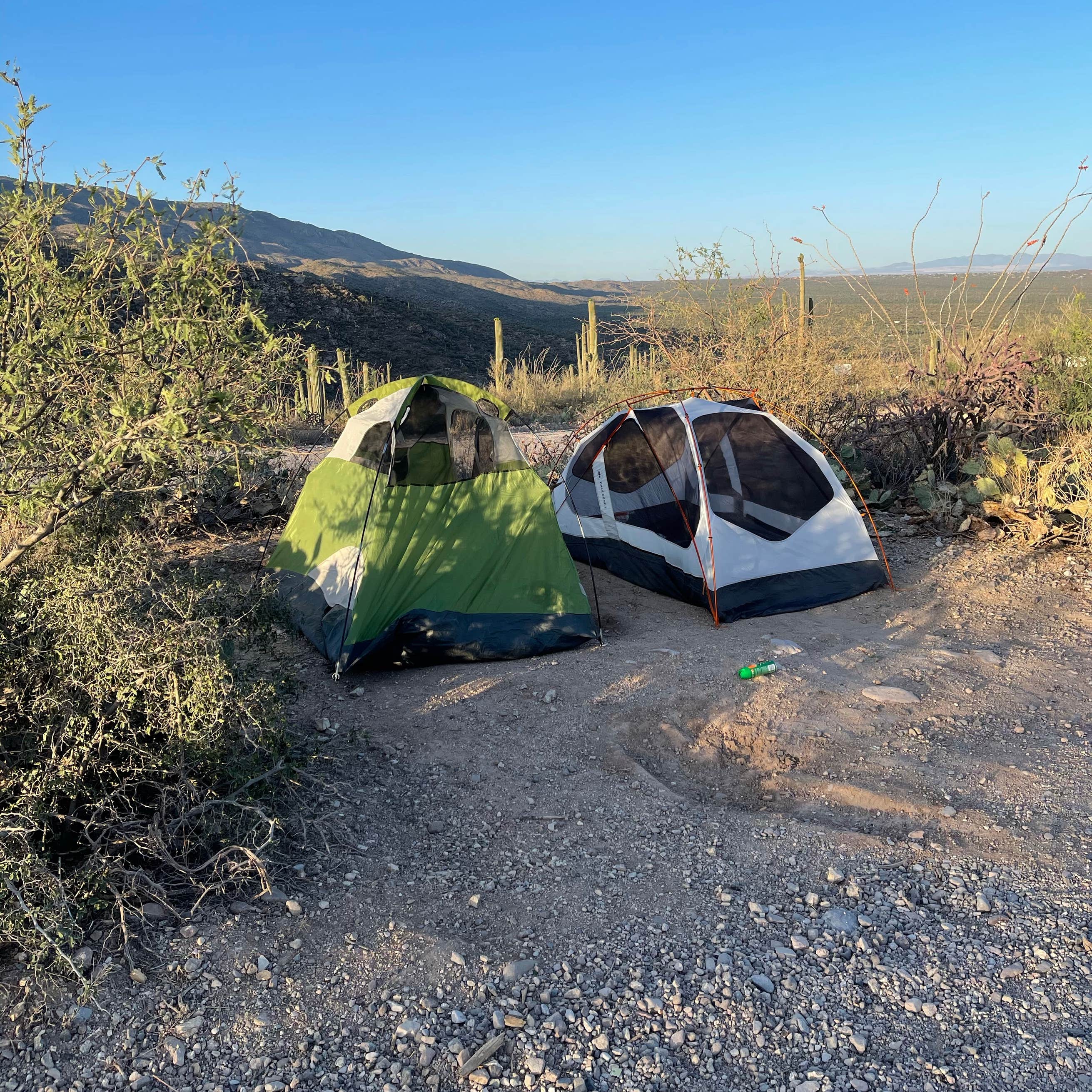 Redington Pass - Dispersed Camping | The Dyrt