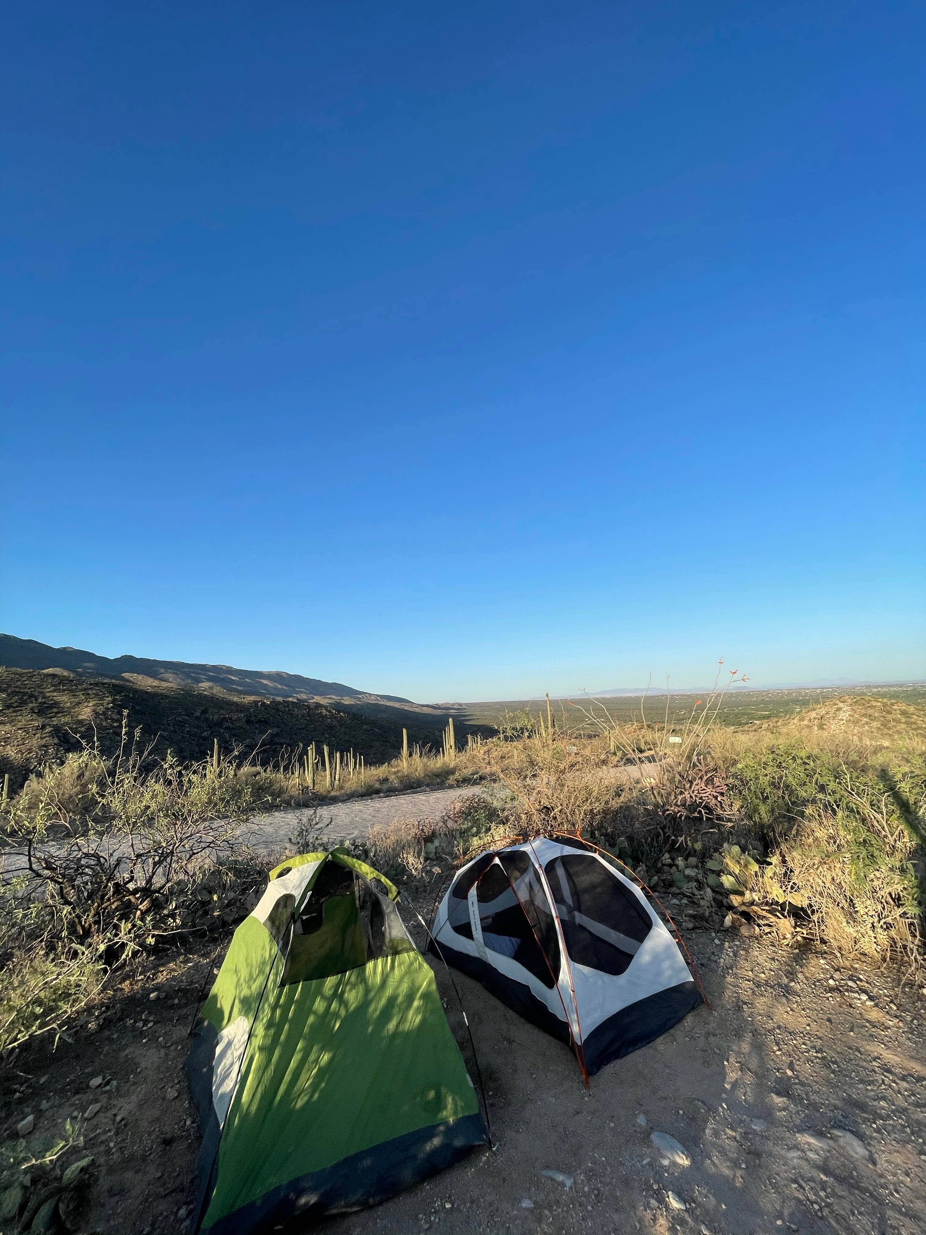 Redington Pass - Dispersed Camping | The Dyrt