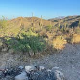 Review photo of Redington Pass - Dispersed Camping by Spencer R., May 12, 2021