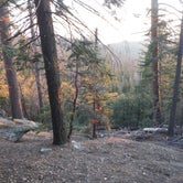 Review photo of Sunset Campground — Kings Canyon National Park by John W., June 3, 2018