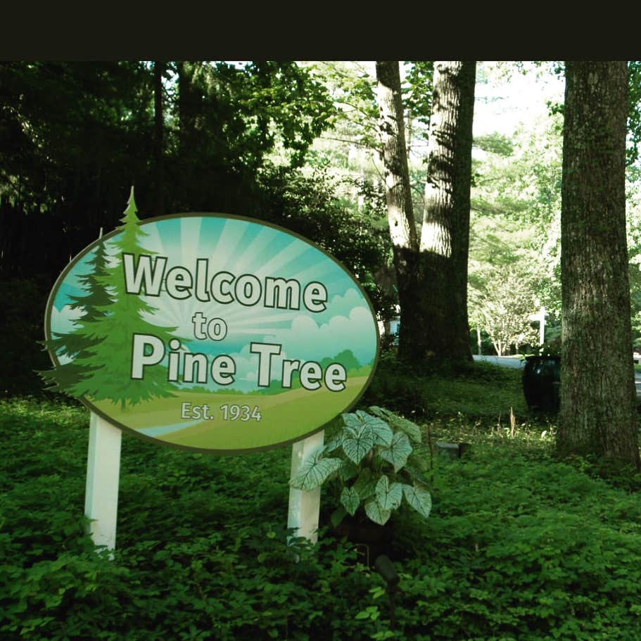 Camper-submitted photo at Pine Tree Associates Nudist Club near Arnold, MD