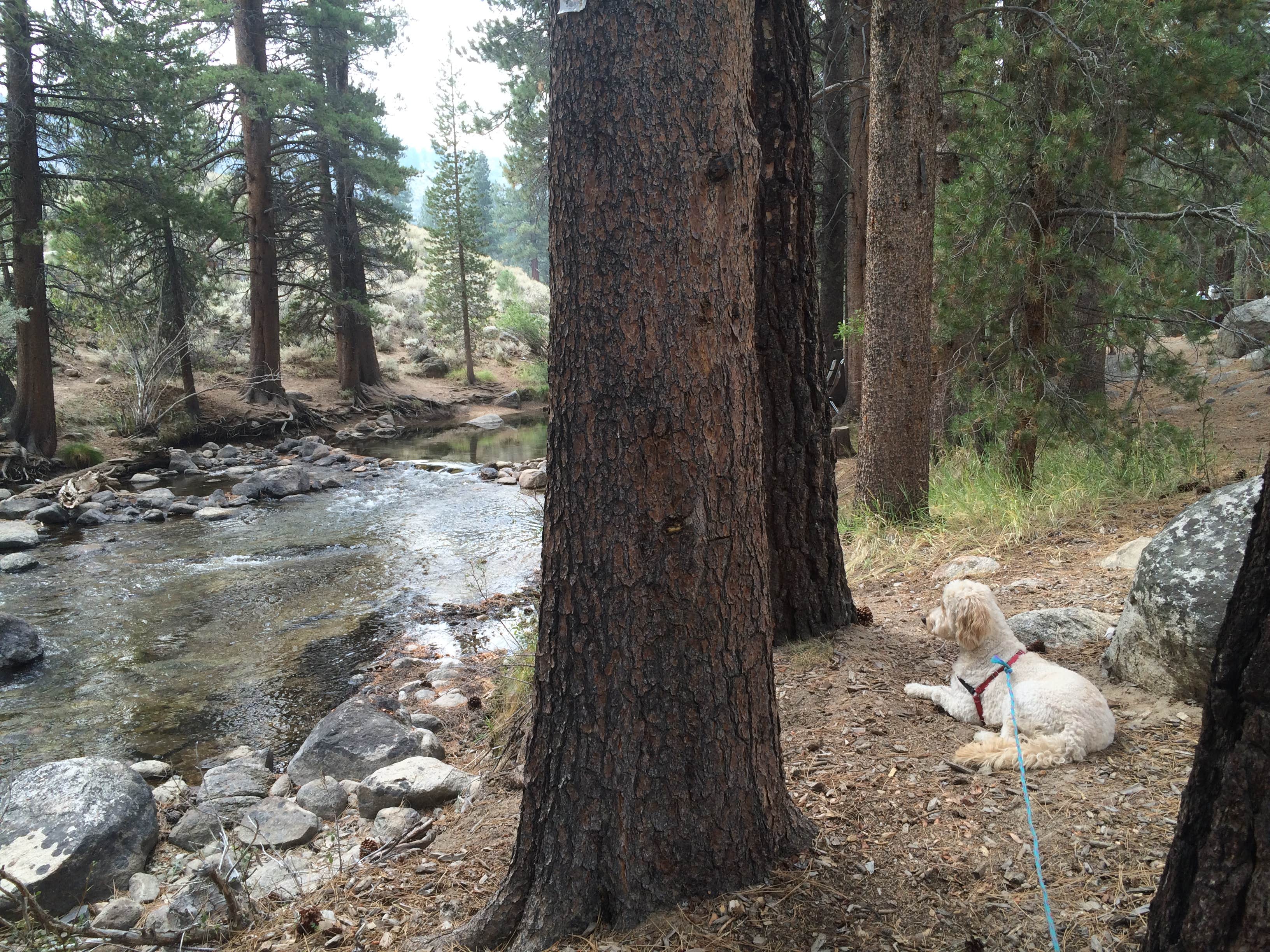 Camper submitted image from Lower Twin Lake Campground - 2