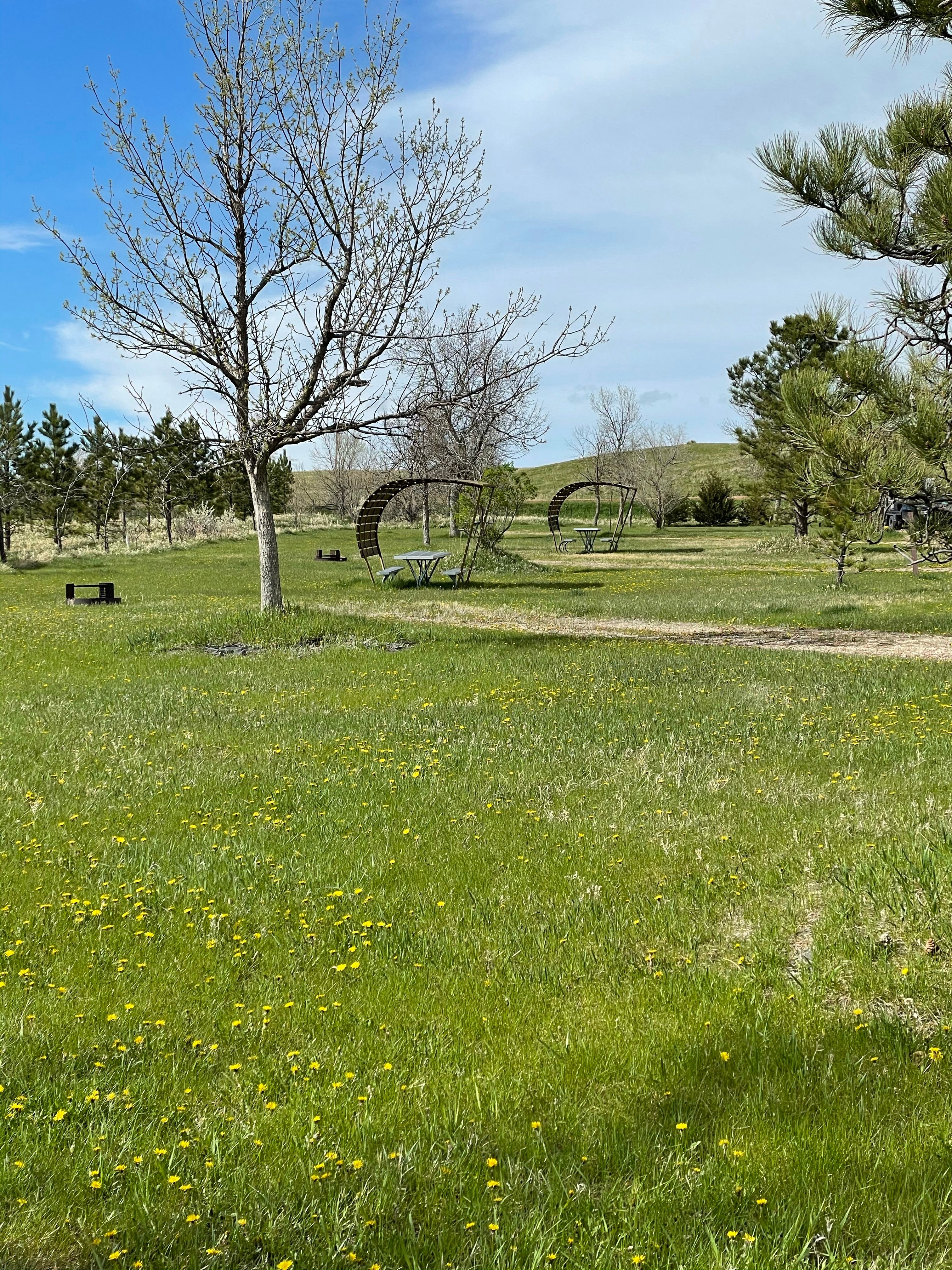 Camper submitted image from Bear Butte State Park Campground - 4