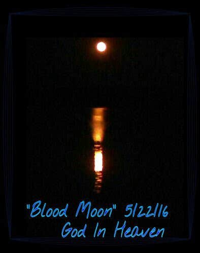 Camper-submitted photo at Hester's Ferry Campground near Calhoun Falls, SC