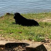 Review photo of Lake Greenwood State Park Campground by laurie M., May 12, 2021