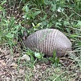 Review photo of South Llano River State Park Campground by Debbie J., May 12, 2021