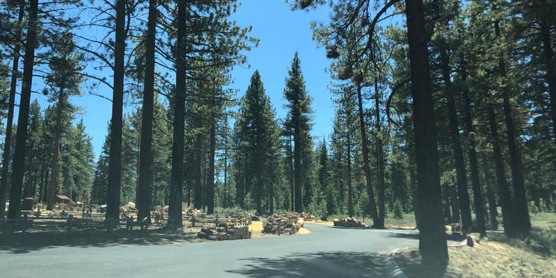 Camper submitted image from Lake Tahoe Nevada State Park Spooner Backcountry