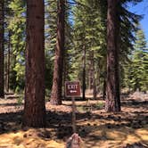 Review photo of Lake Tahoe Nevada State Park Spooner Backcountry by N I., May 12, 2021