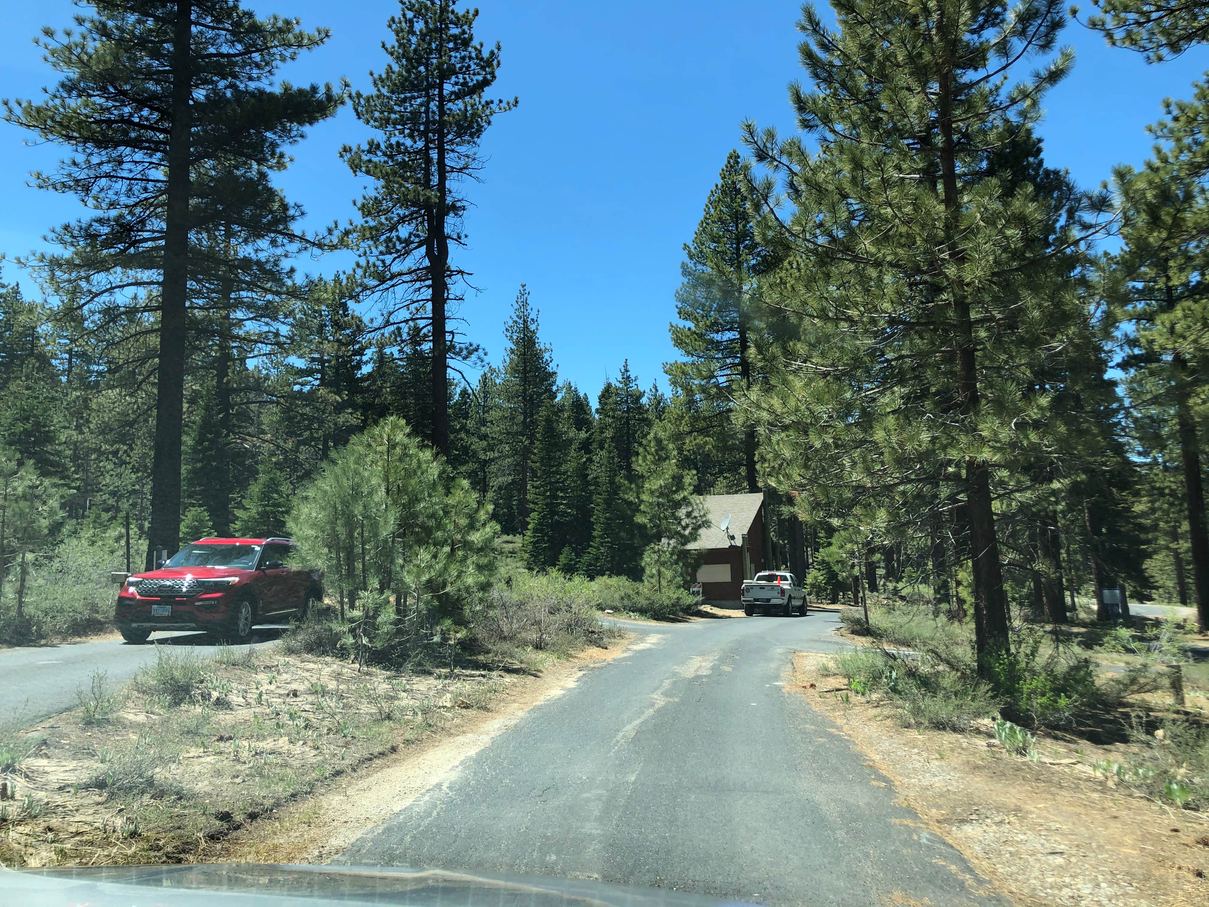 Camper submitted image from Lake Tahoe Nevada State Park Spooner Backcountry - 3