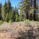 Review photo of Lake Tahoe Nevada State Park Spooner Backcountry by N I., May 12, 2021