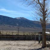 Review photo of Wilderness Station (58 North McGill Hwy) by Brittney  C., May 13, 2021