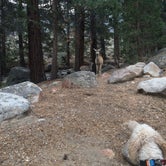 Review photo of Lower Twin Lake Campground by Keef W., July 15, 2016