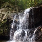 Review photo of Patapsco Valley State Park-Hilton Area by brian R., May 13, 2021