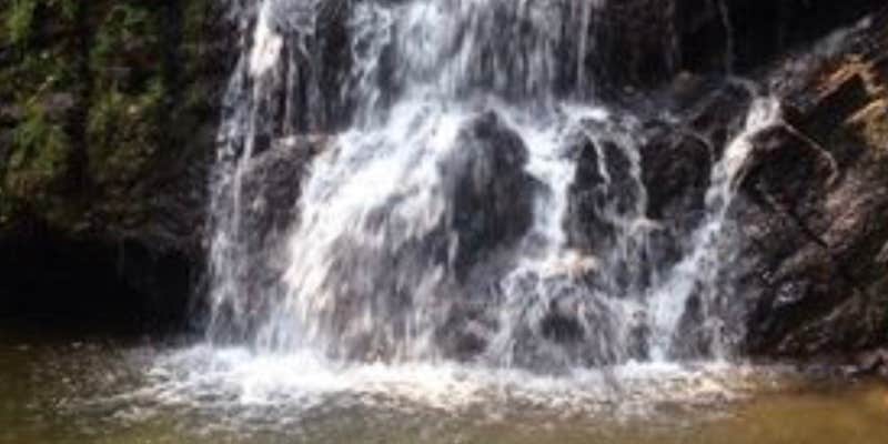 Camper submitted image from Patapsco Valley State Park-Hilton Area