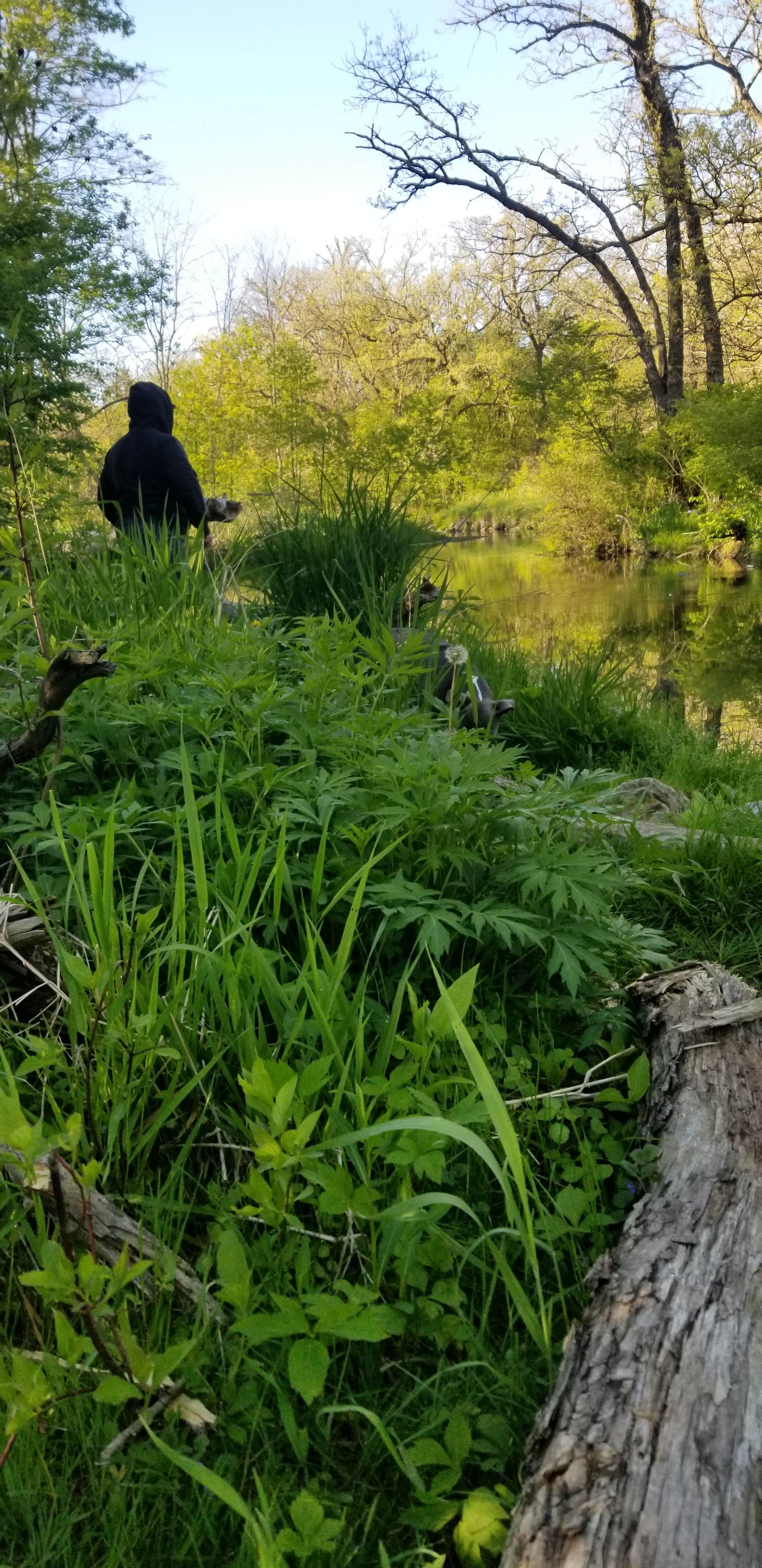 Camper submitted image from Bailey Ford Delaware County Park - 1