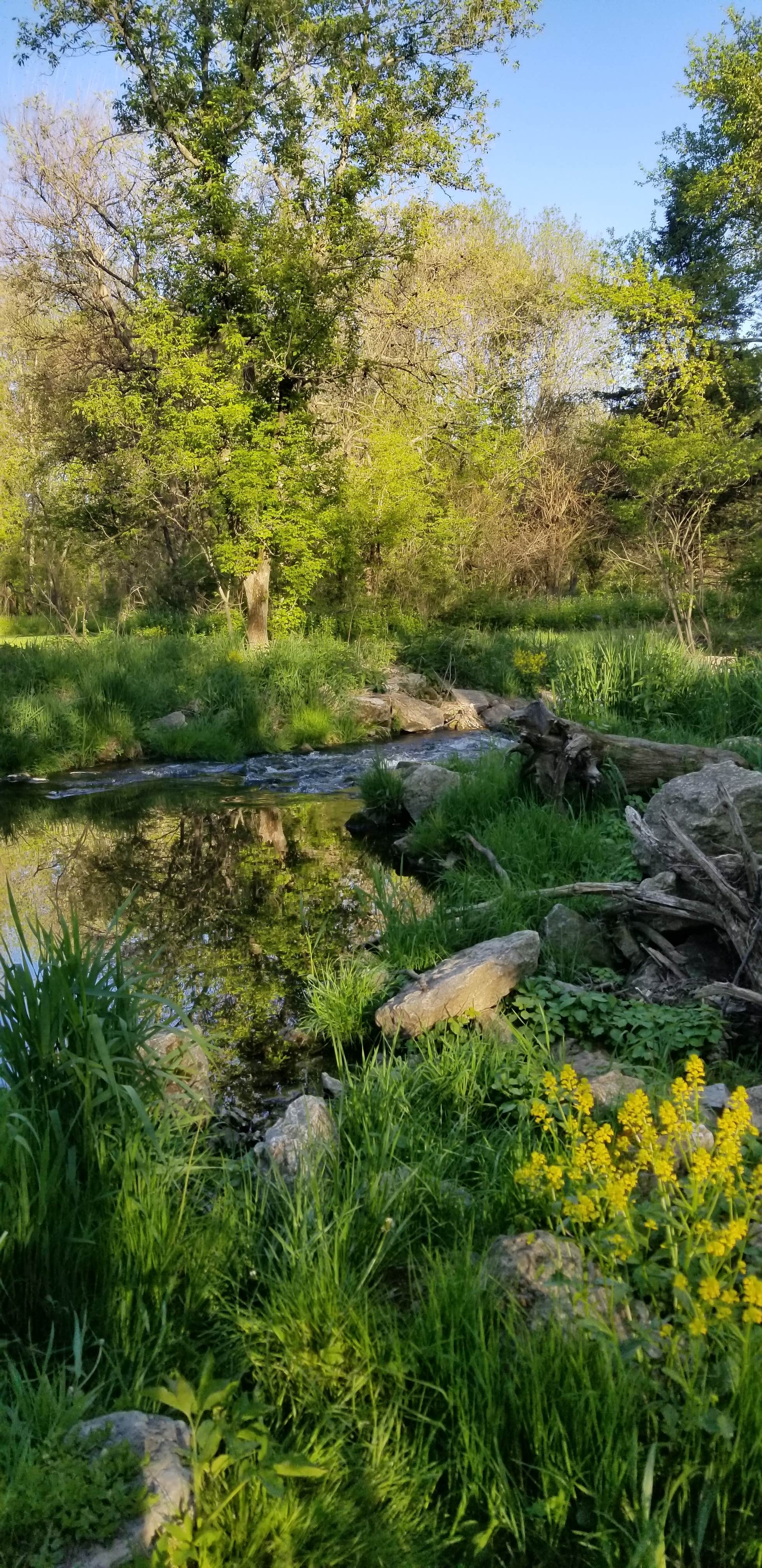 Camper submitted image from Bailey Ford Delaware County Park - 2