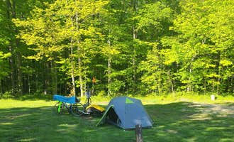 Camping near Riverbend Recreation Area Campground: Leafy Oaks RV Park and Campground, Clyde, Ohio