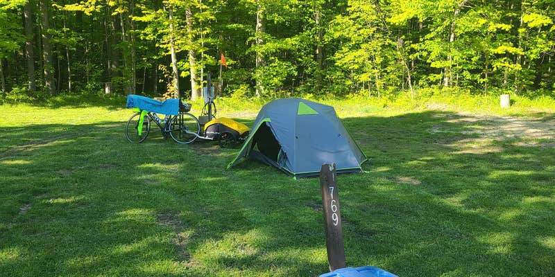 Camper submitted image from Leafy Oaks RV Park and Campground