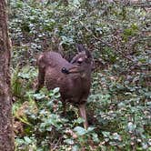 Review photo of Oxbow Regional Park by Kevin M., May 10, 2021